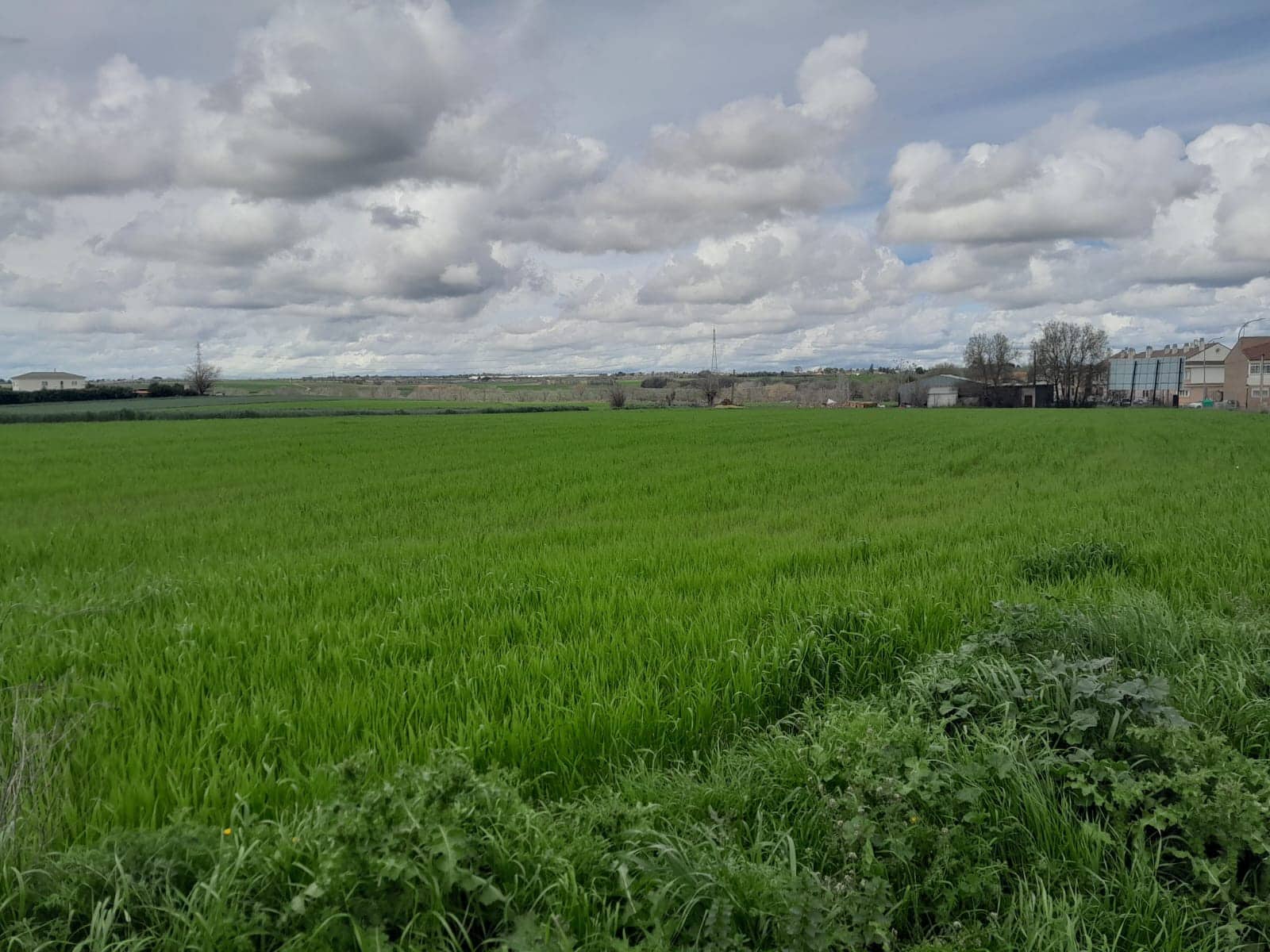 Grunde uden byggetilladelser til salg i El Escorial - € 2.057.000 (Ref: 9349418)