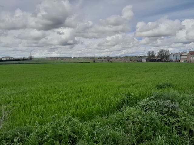 Undeveloped Land for sale in El Escorial - € 2,057,000 (Ref: 9349418)