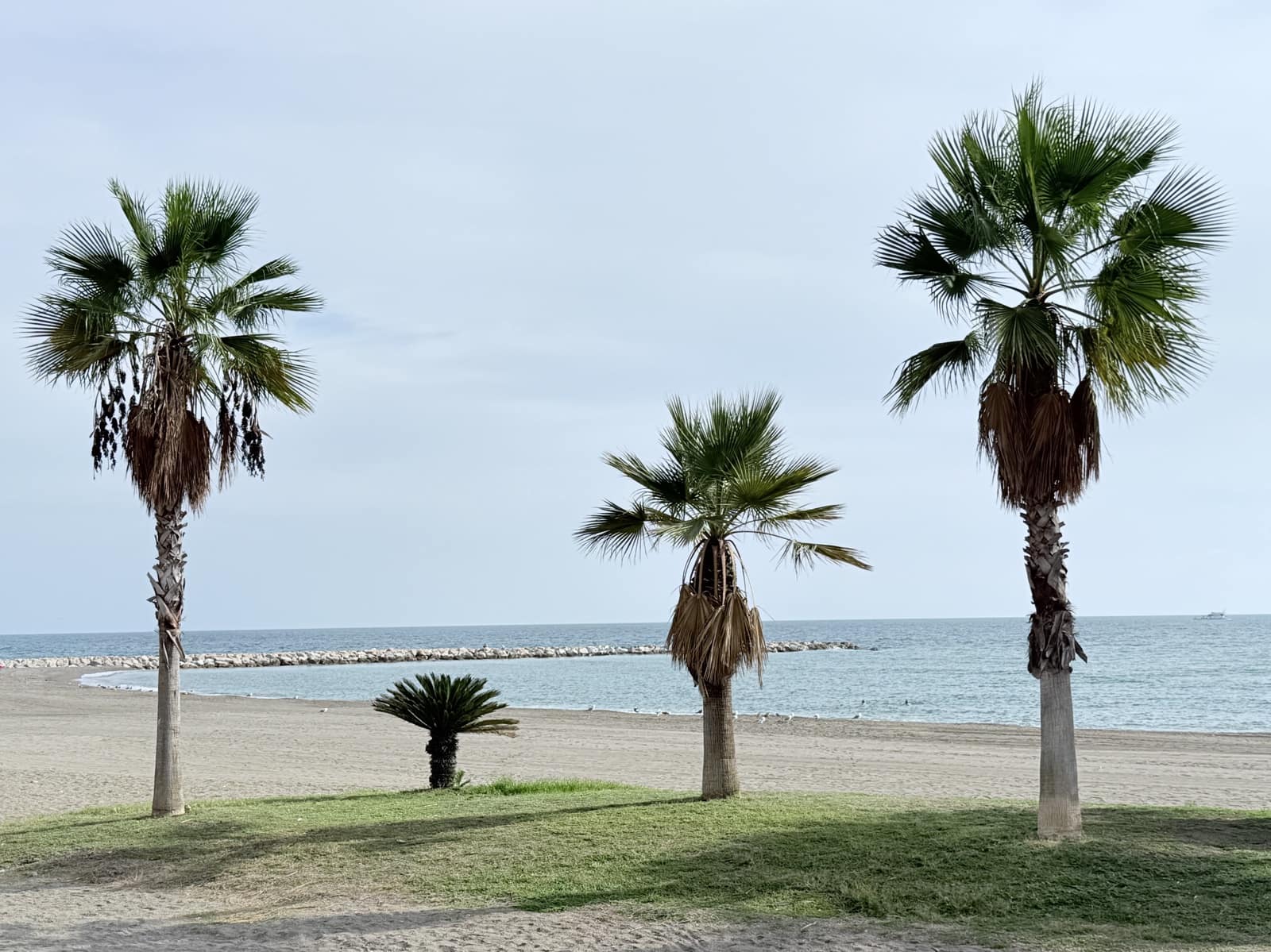 4 soveværelse Lejlighed til salg i Malaga by - € 1.175.000 (Ref: 9375248)