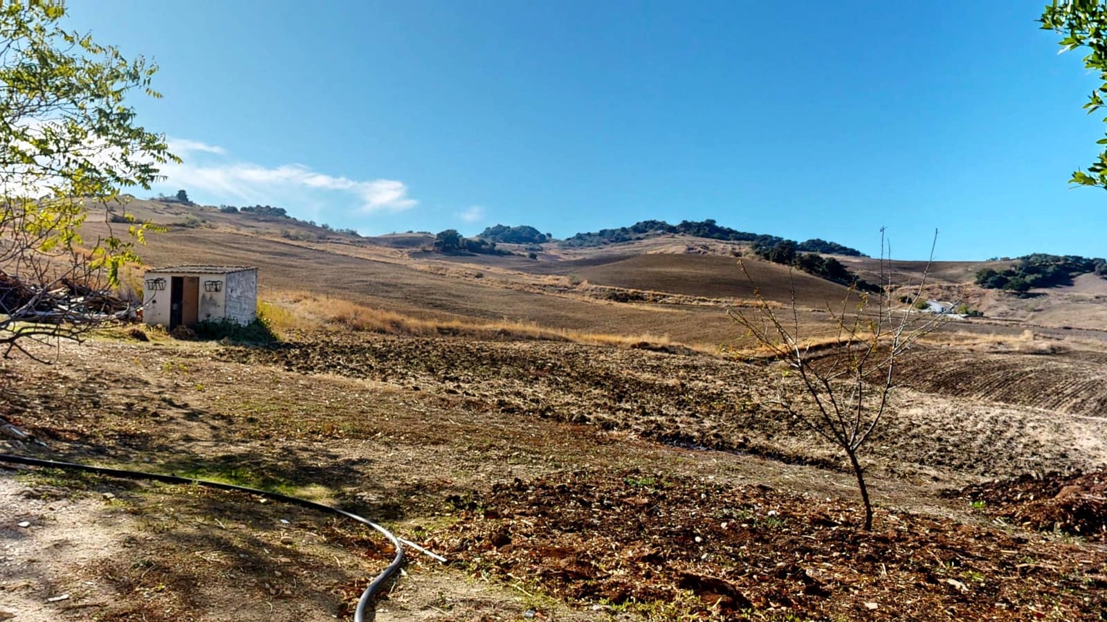 Undeveloped Land for sale in Montecorto - € 639,000 (Ref: 9398417)