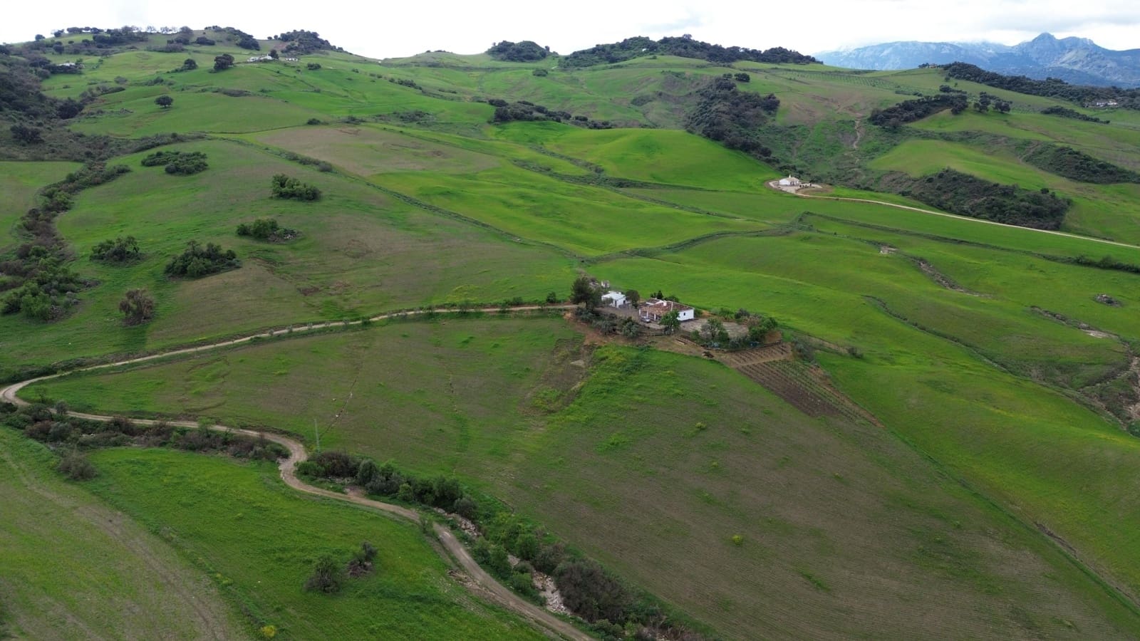 Terreno/Finca Rústica en Montecorto en venta - 639.000 € (Ref: 9398417)