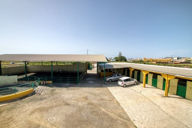 4 camera da letto Finca/Casa di Campagna in vendita in Torre del Mar, Vélez-Málaga con piscina - 999.000 € (Rif: 9422308)