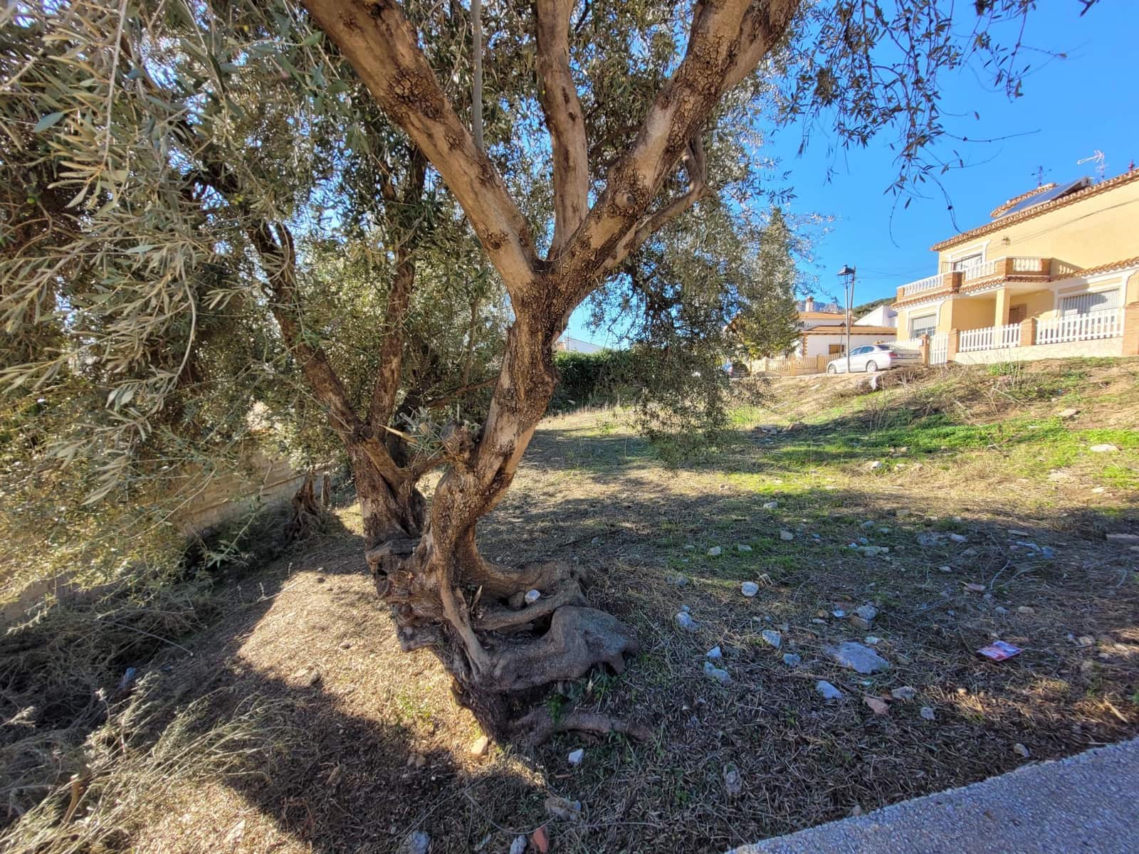 Building Plot for sale in Periana - € 59,900 (Ref: 9438147)