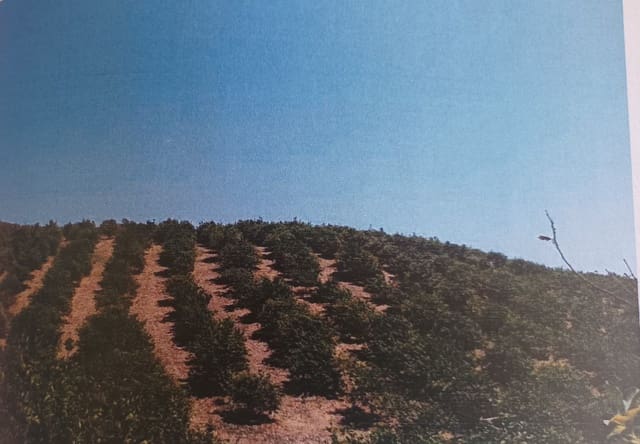 Landgrundstück zu verkaufen in Alora - 302.000 € (Ref: 9450466)