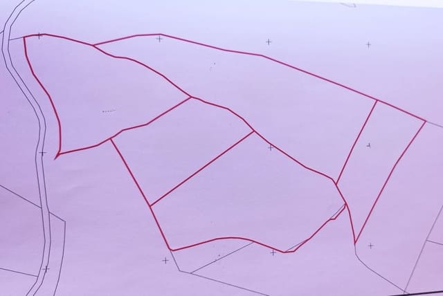 Rakentamaton maa myytävänä paikassa Alora - 302 000 € (Ref: 9450466)