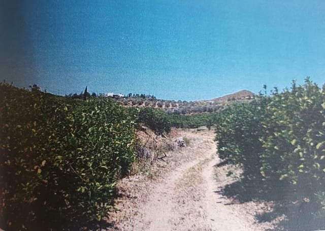 Terreno Non Edificato in vendita in Alora - 302.000 € (Rif: 9450466)