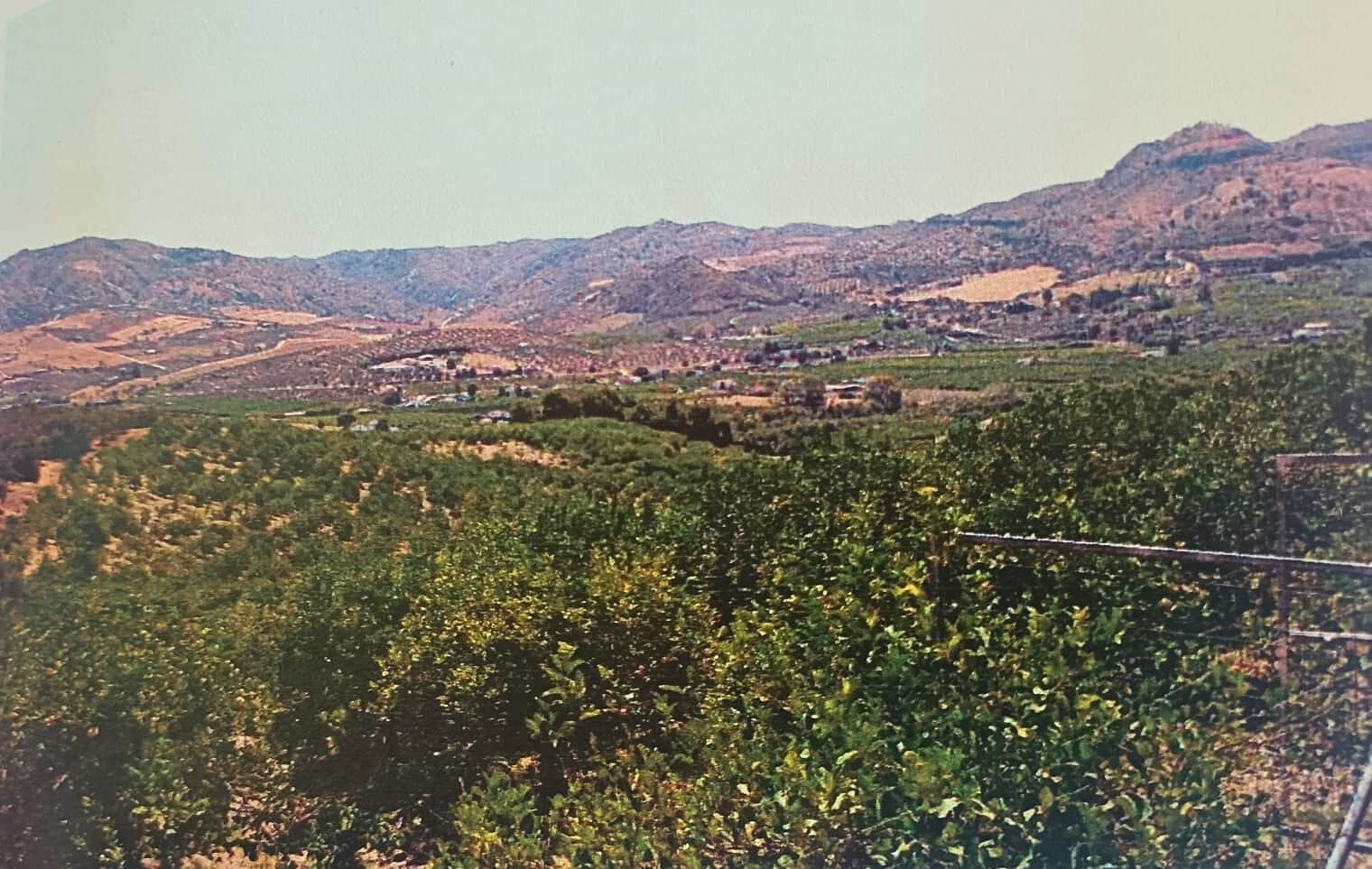 Undeveloped Land for sale in Alora - € 302,000 (Ref: 9450466)