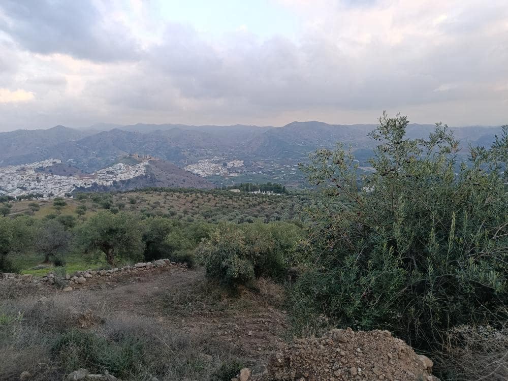 Terre non Aménagée à vendre à Alora - 212 000 € (Ref: 9456502)