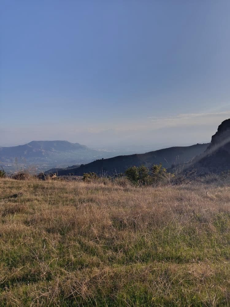 Terre non Aménagée à vendre à Alora - 212 000 € (Ref: 9456502)