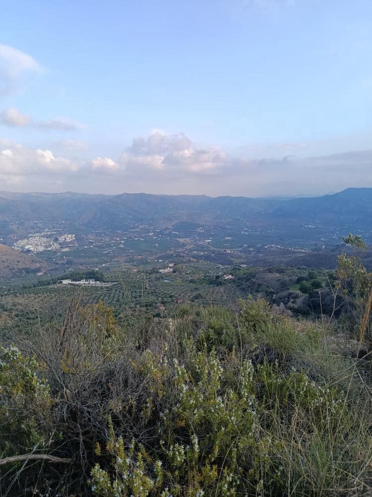 Terre non Aménagée à vendre à Alora - 212 000 € (Ref: 9456502)