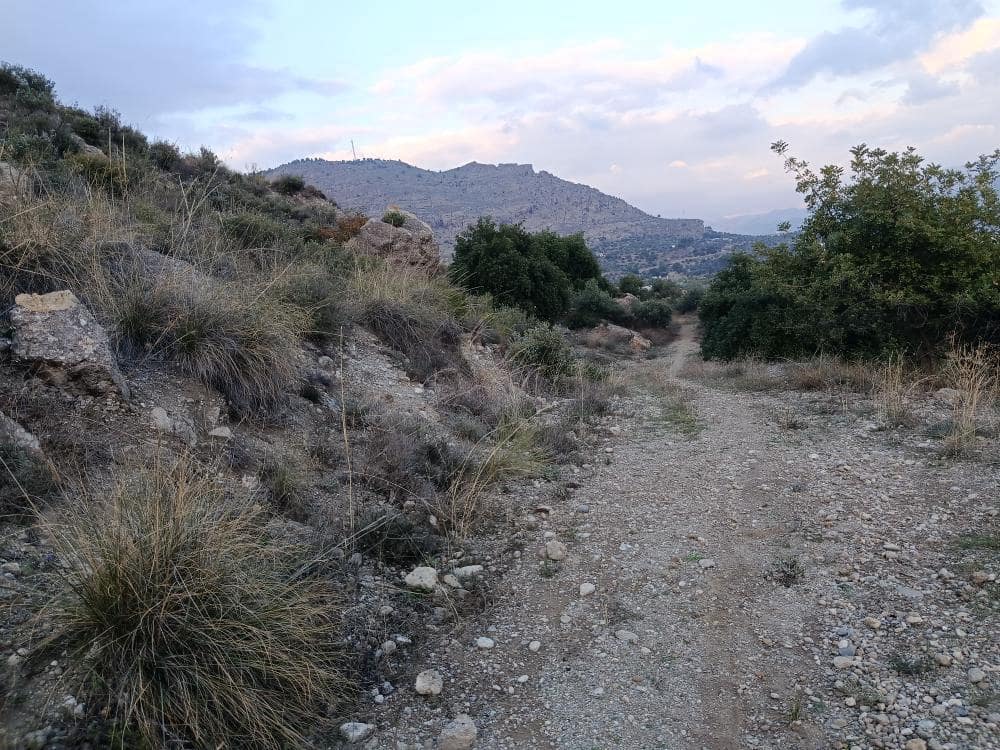 Terre non Aménagée à vendre à Alora - 212 000 € (Ref: 9456502)