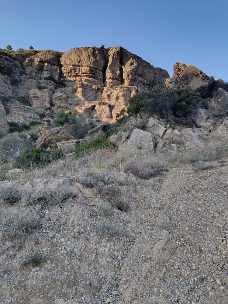 Terre non Aménagée à vendre à Alora - 212 000 € (Ref: 9456502)