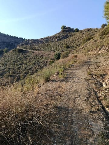 Terre non Aménagée à vendre à Alora - 212 000 € (Ref: 9456502)