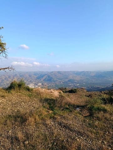 Terre non Aménagée à vendre à Alora - 212 000 € (Ref: 9456502)