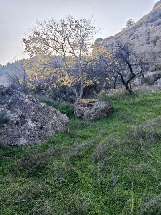 Undeveloped Land for sale in Alora - € 212,000 (Ref: 9456502)