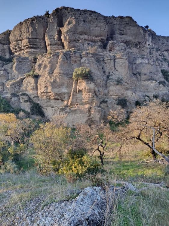 Undeveloped Land for sale in Alora - € 212,000 (Ref: 9456502)