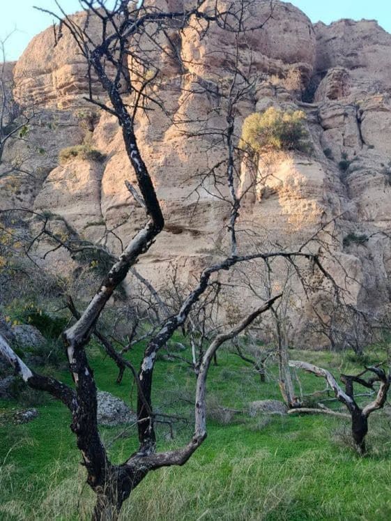 Undeveloped Land for sale in Alora - € 212,000 (Ref: 9456502)