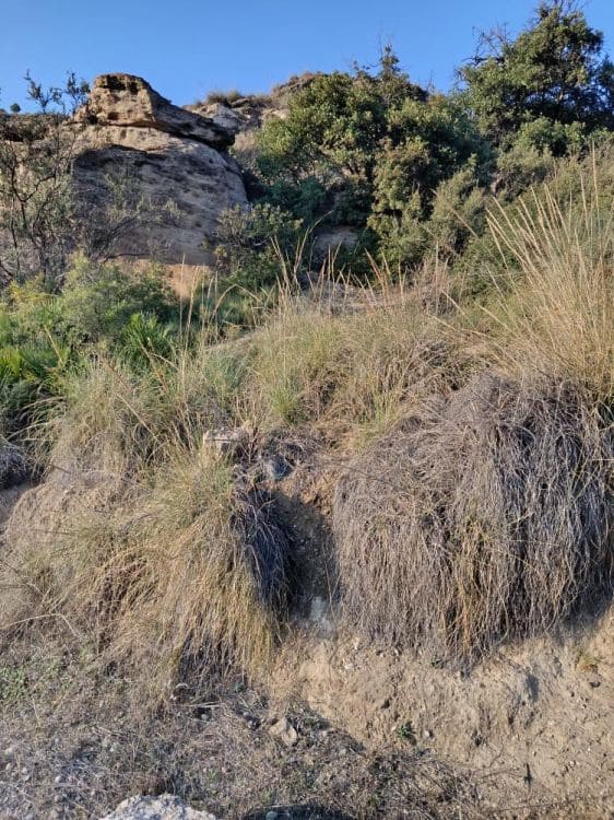 Undeveloped Land for sale in Alora - € 212,000 (Ref: 9456502)