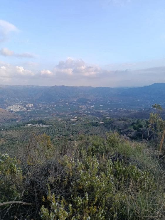 Undeveloped Land for sale in Alora - € 212,000 (Ref: 9456502)