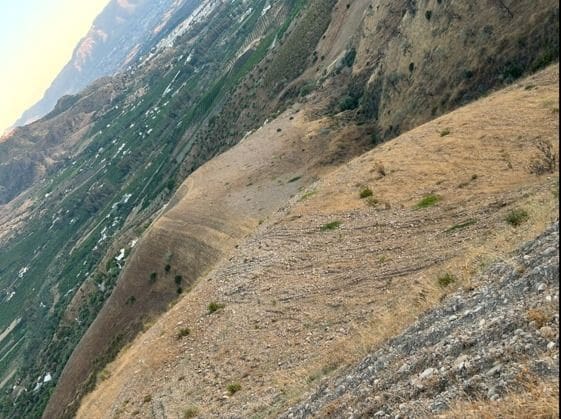 Undeveloped Land for sale in Alora - € 382,000 (Ref: 9456503)