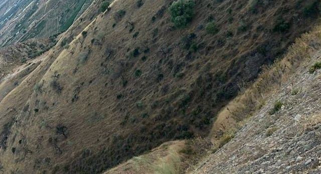 Terreno Não Urbanizado para venda em Alora - 382 000 € (Ref: 9456503)