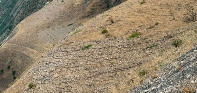 Terre non Aménagée à vendre à Alora - 382 000 € (Ref: 9456503)