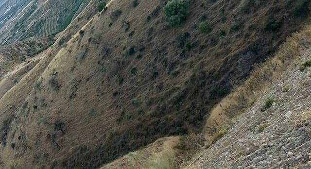 Terre non Aménagée à vendre à Alora - 382 000 € (Ref: 9456503)