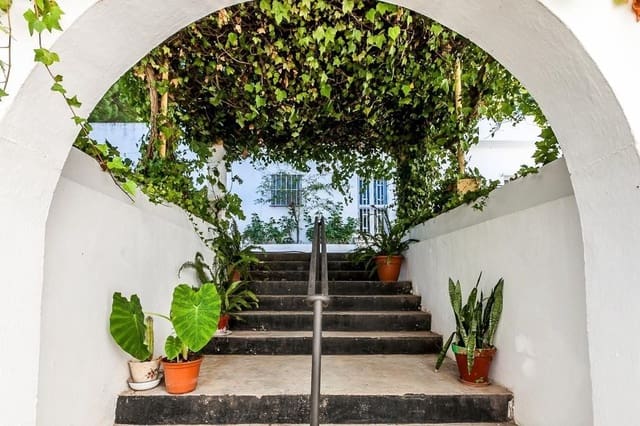 29 camera da letto Commerciale da affittare in Vejer de la Frontera - 870 € (Rif: 9569015)