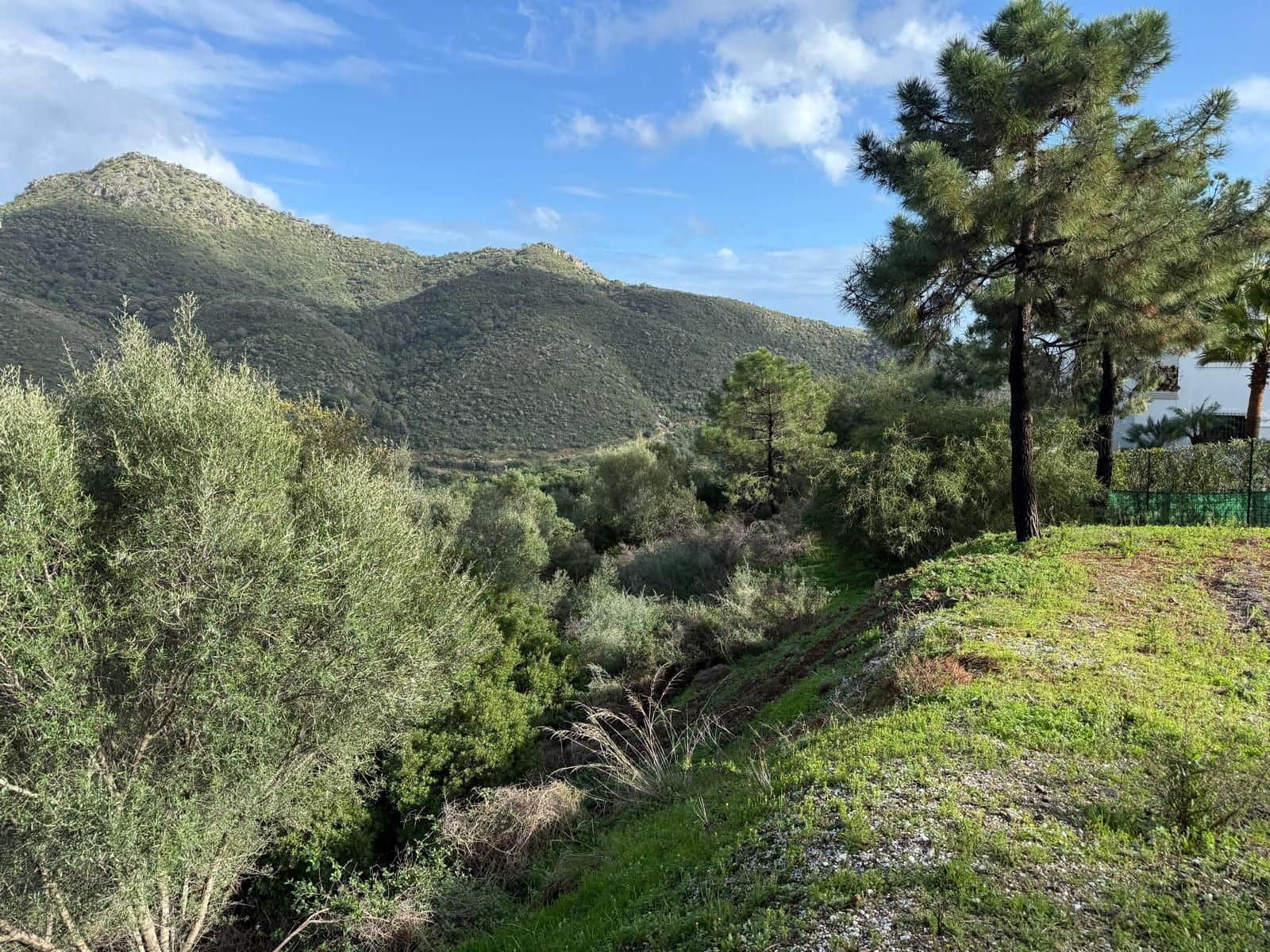 Solar/Parcela en Benahavís en venta - 280.000 € (Ref: 9591567)