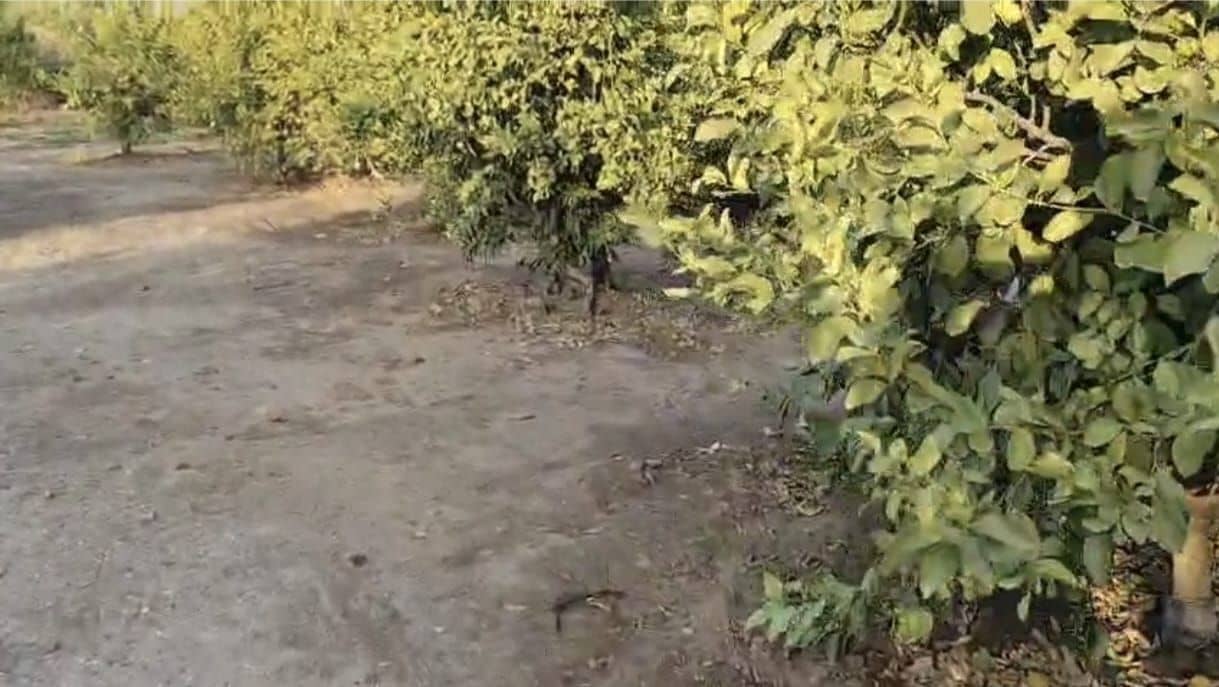 Landgrundstück zu verkaufen in Alora - 318.000 € (Ref: 9645266)