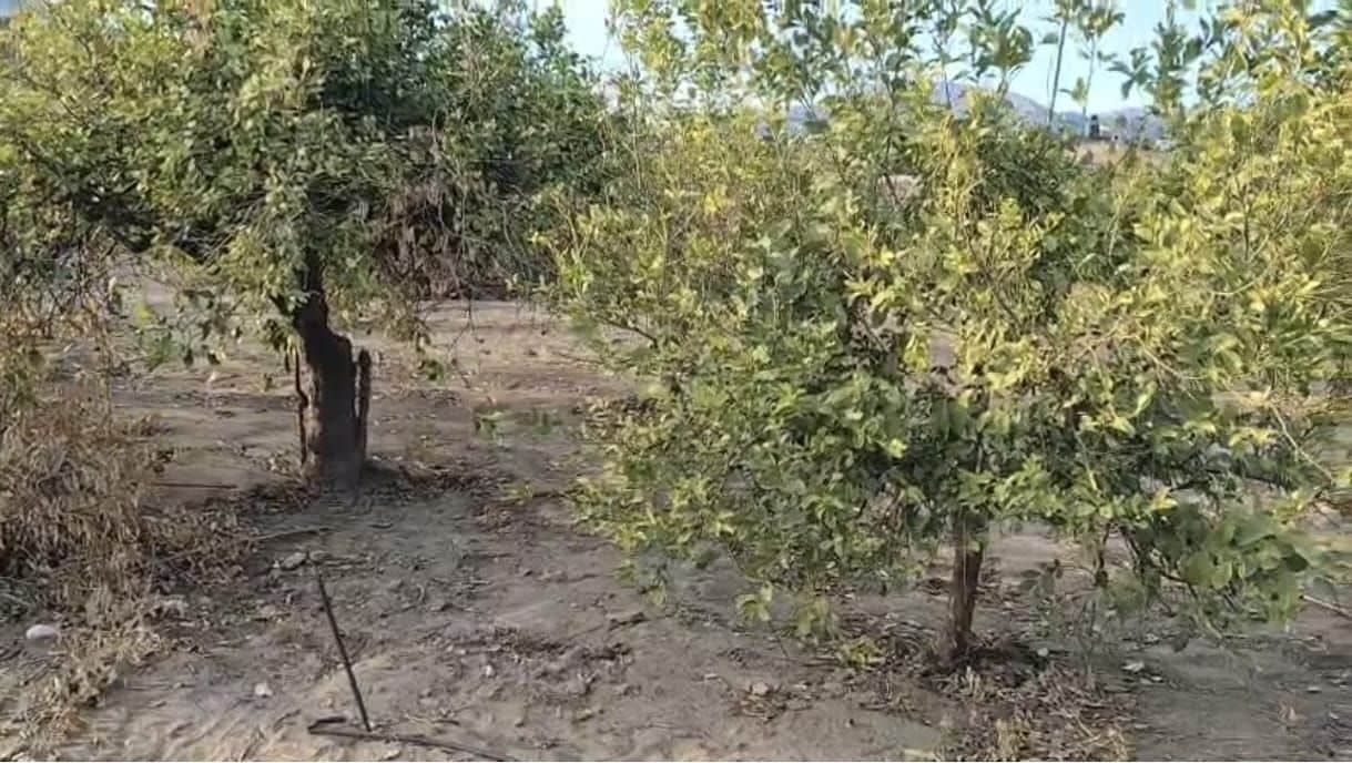 Landgrundstück zu verkaufen in Alora - 318.000 € (Ref: 9645266)