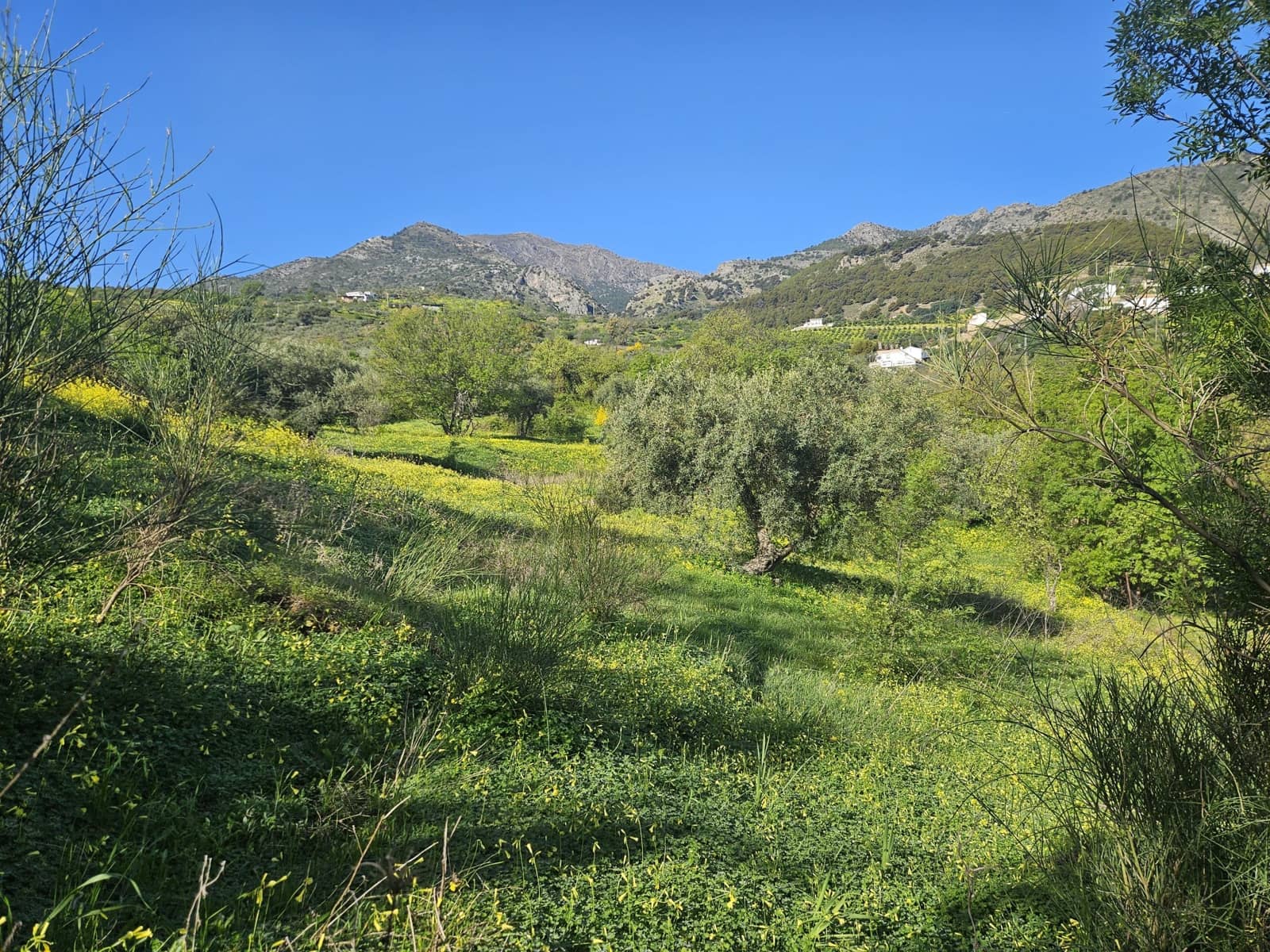 Mark till salu i Casarabonela - 80 000 € (Ref: 9679997)