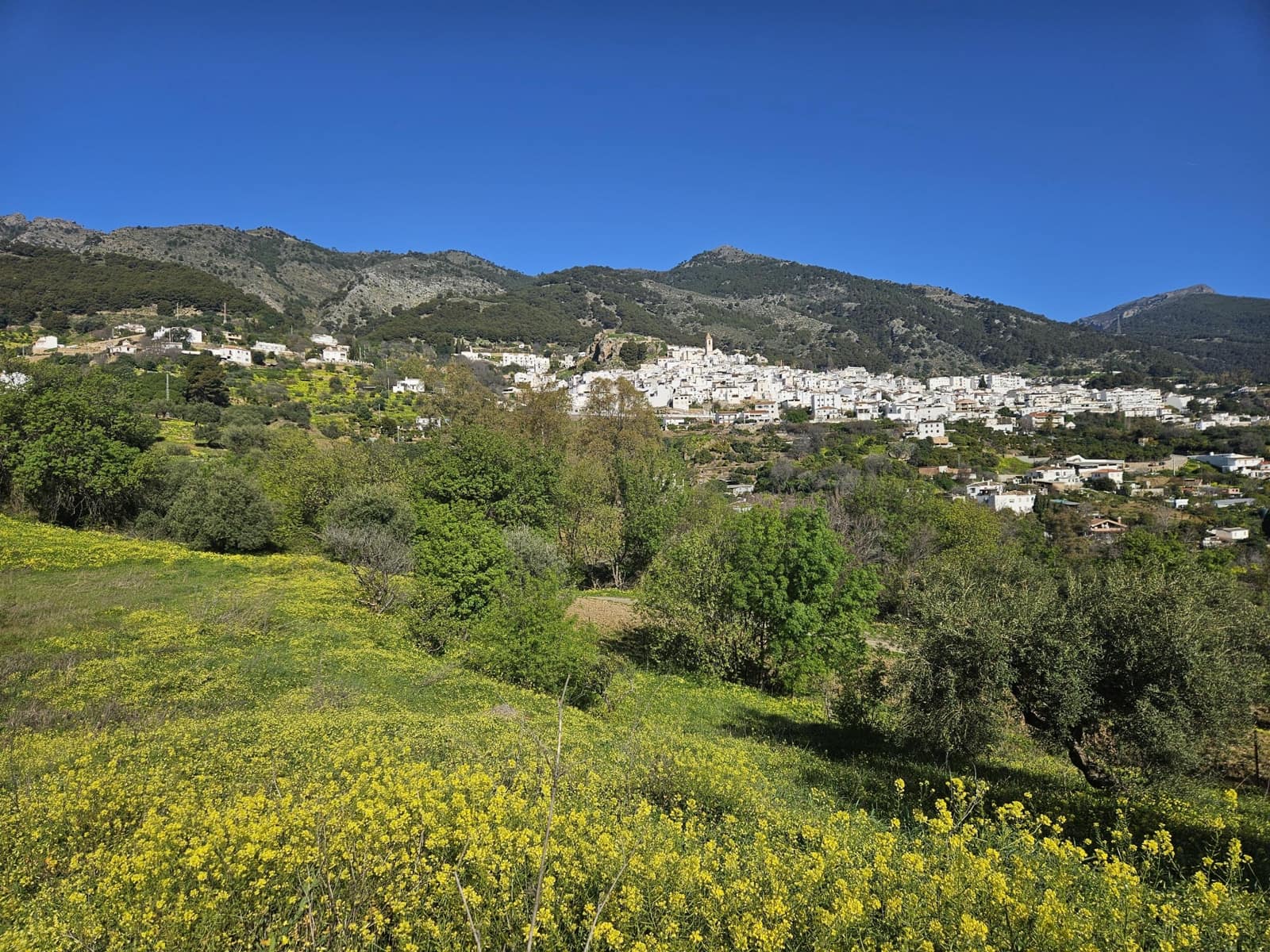 Mark till salu i Casarabonela - 80 000 € (Ref: 9679997)