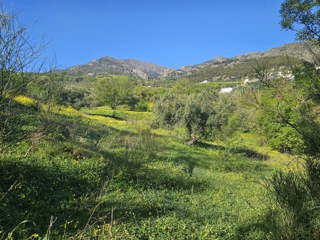 Landgrundstück zu verkaufen in Casarabonela - 80.000 € (Ref: 9679997)