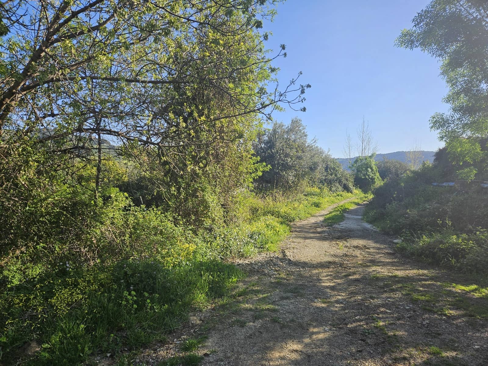 Terreno/Finca Rústica en Casarabonela en venta - 80.000 € (Ref: 9679997)