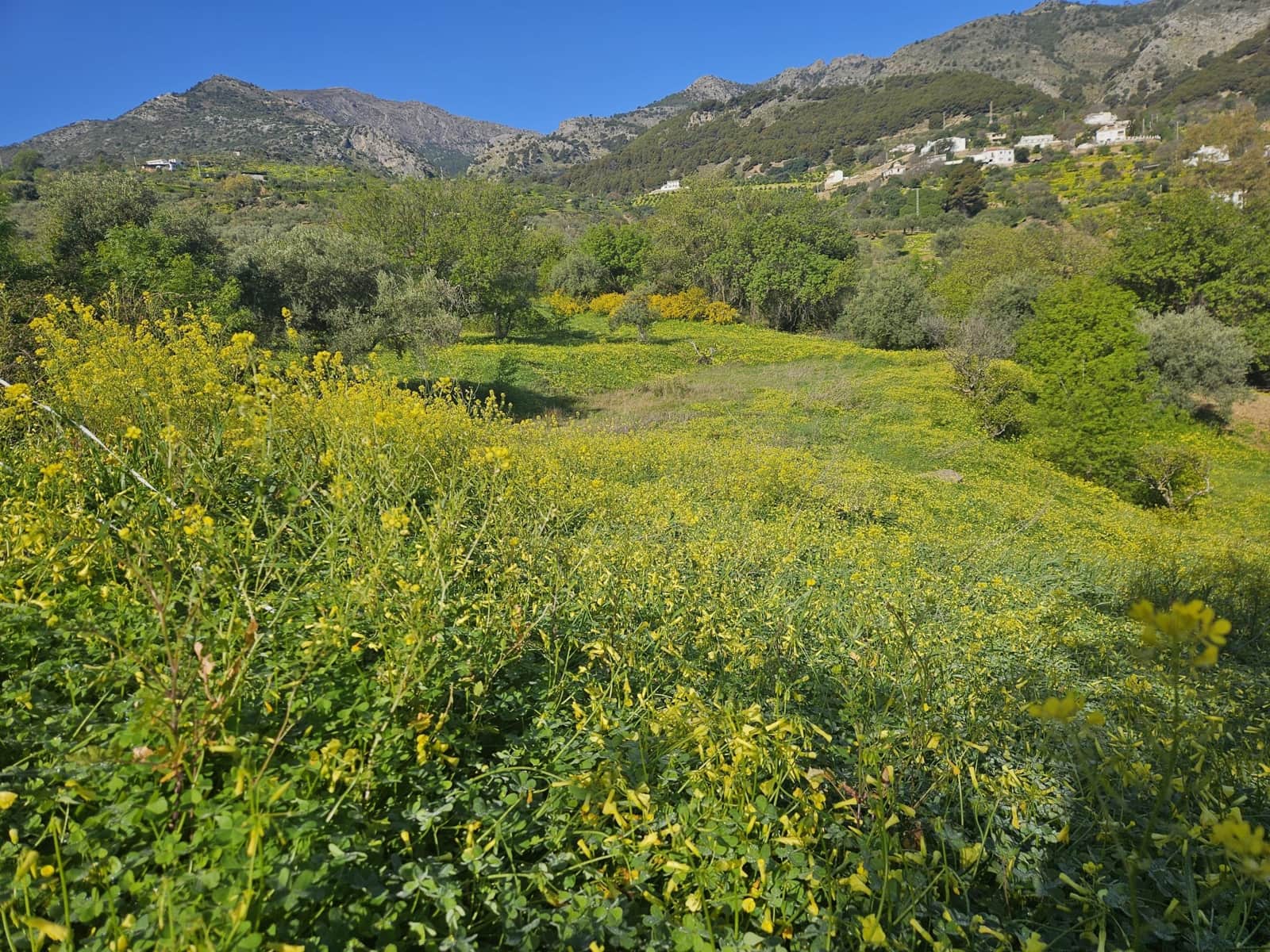 Terreno/Finca Rústica en Casarabonela en venta - 80.000 € (Ref: 9679997)
