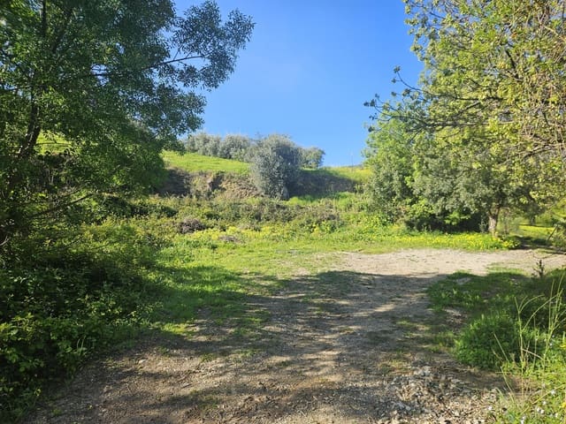 Mark till salu i Casarabonela - 80 000 € (Ref: 9679997)