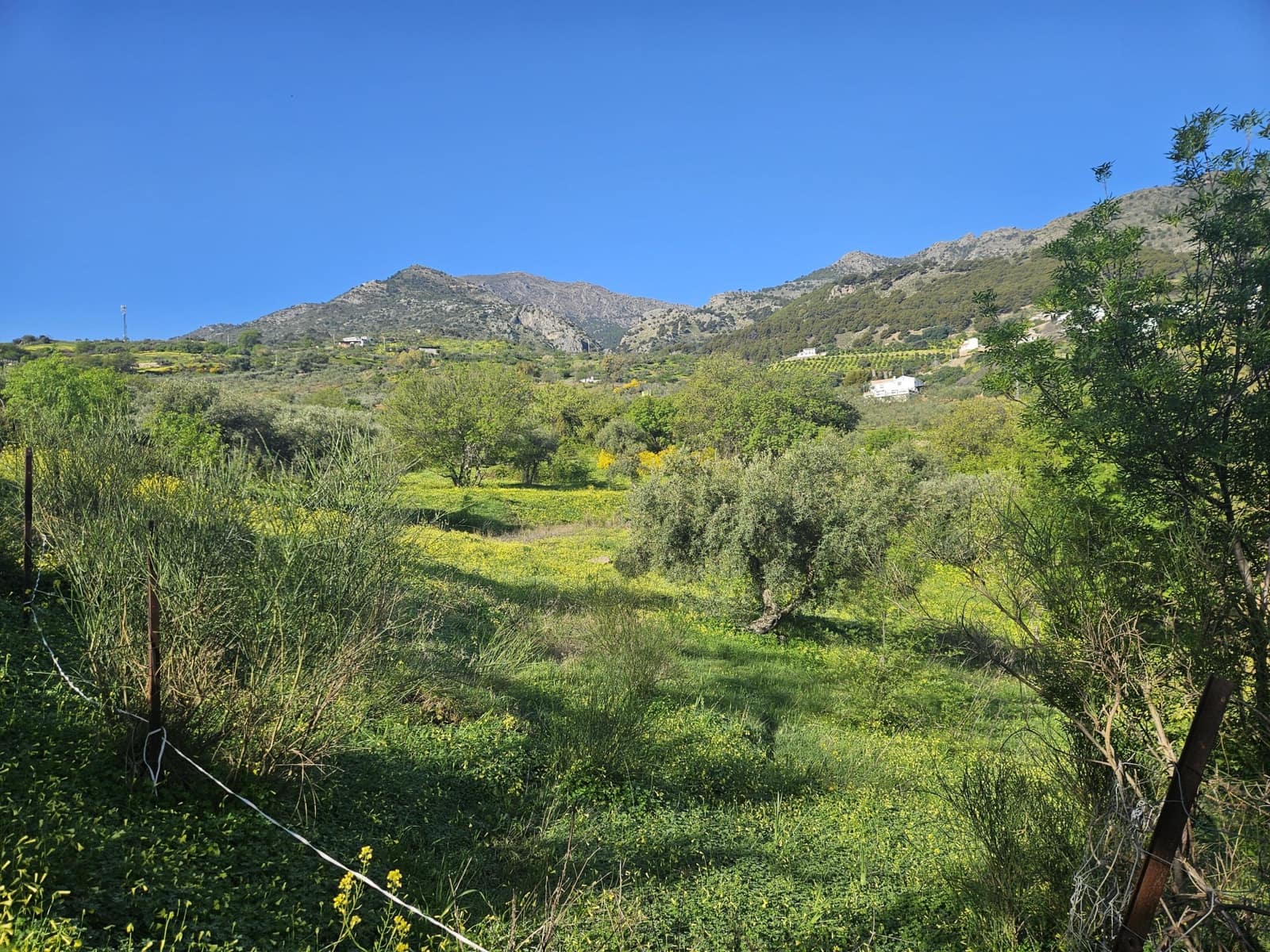 Terreno/Finca Rústica en Casarabonela en venta - 80.000 € (Ref: 9679997)