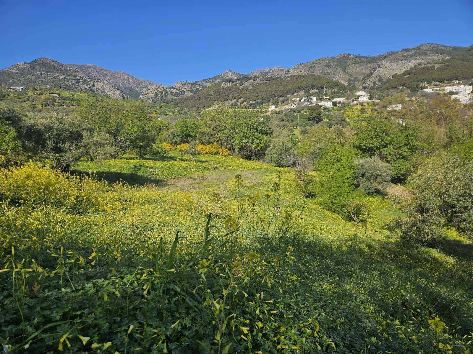 Terreno/Finca Rústica en Casarabonela en venta - 80.000 € (Ref: 9679997)