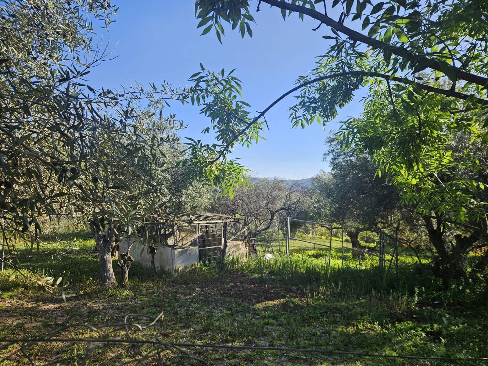 Terreno/Finca Rústica en Casarabonela en venta - 80.000 € (Ref: 9679997)