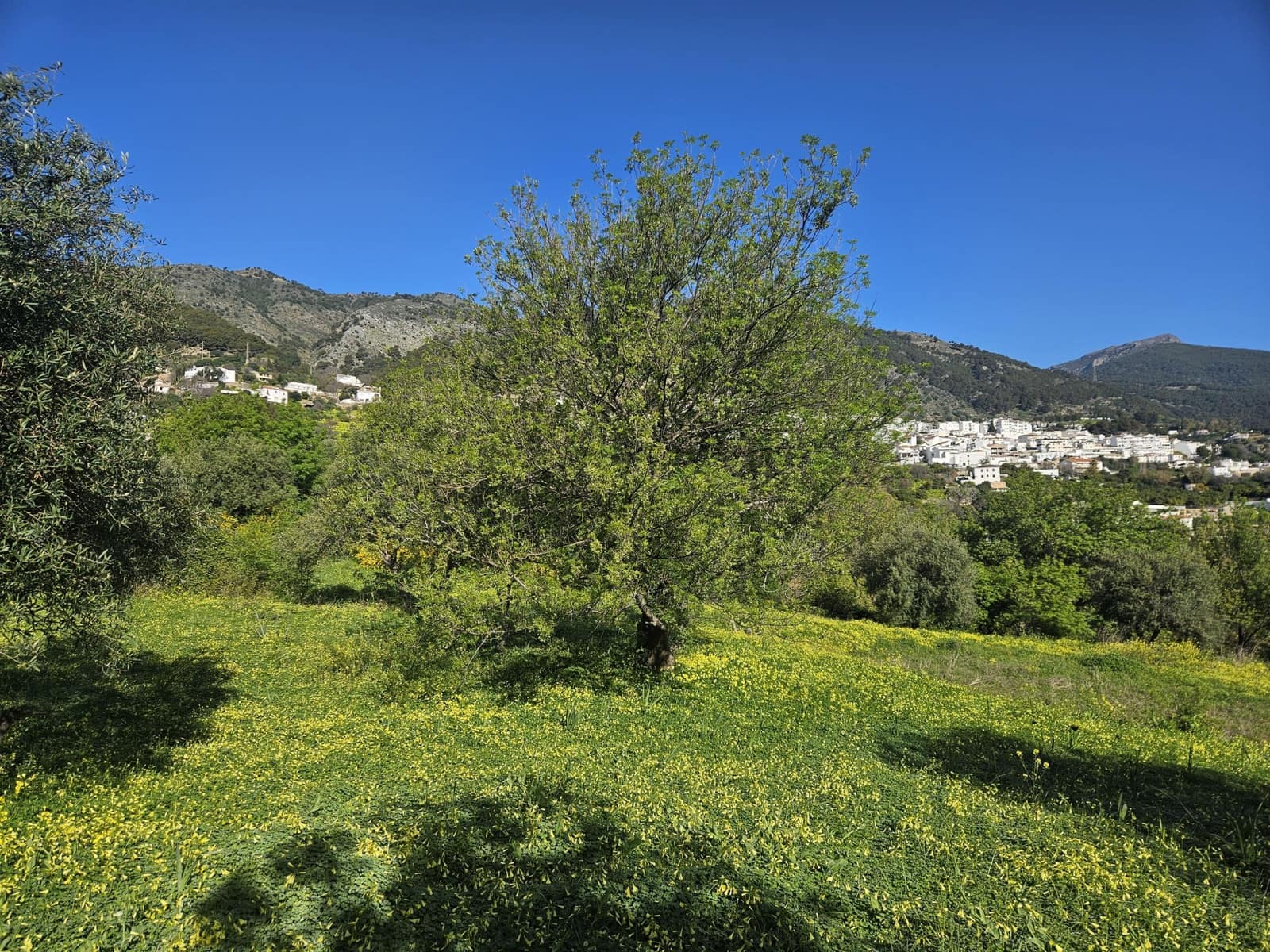 Terreno/Finca Rústica en Casarabonela en venta - 80.000 € (Ref: 9679997)