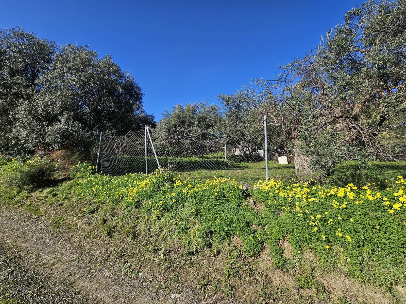 Terreno/Finca Rústica en Casarabonela en venta - 80.000 € (Ref: 9679997)