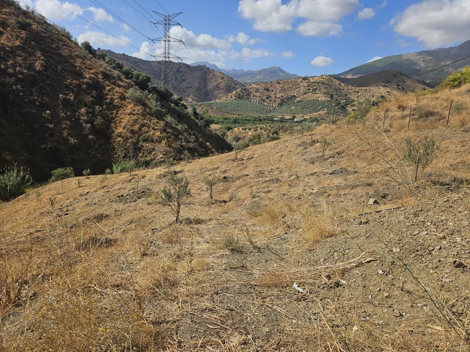 Undeveloped Land for sale in Casarabonela - € 55,000 (Ref: 9702124)