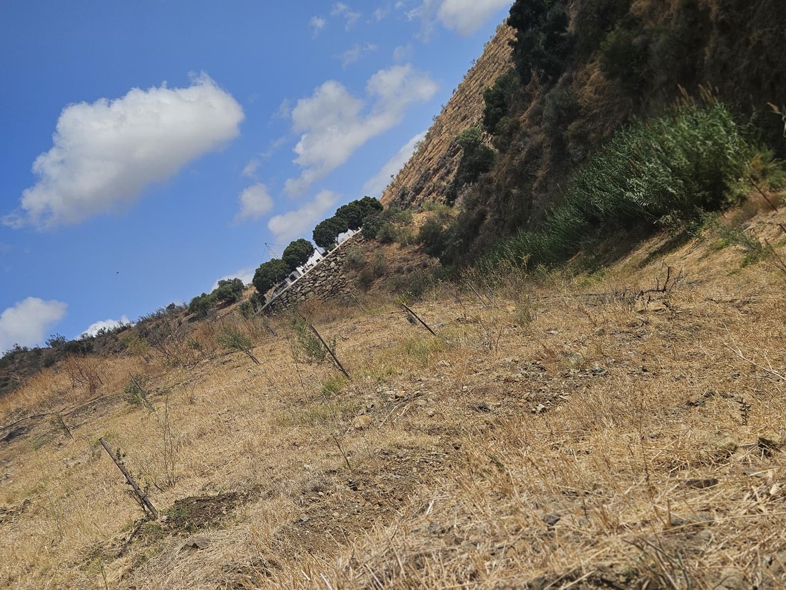 Terreno/Finca Rústica en Casarabonela en venta - 55.000 € (Ref: 9702124)