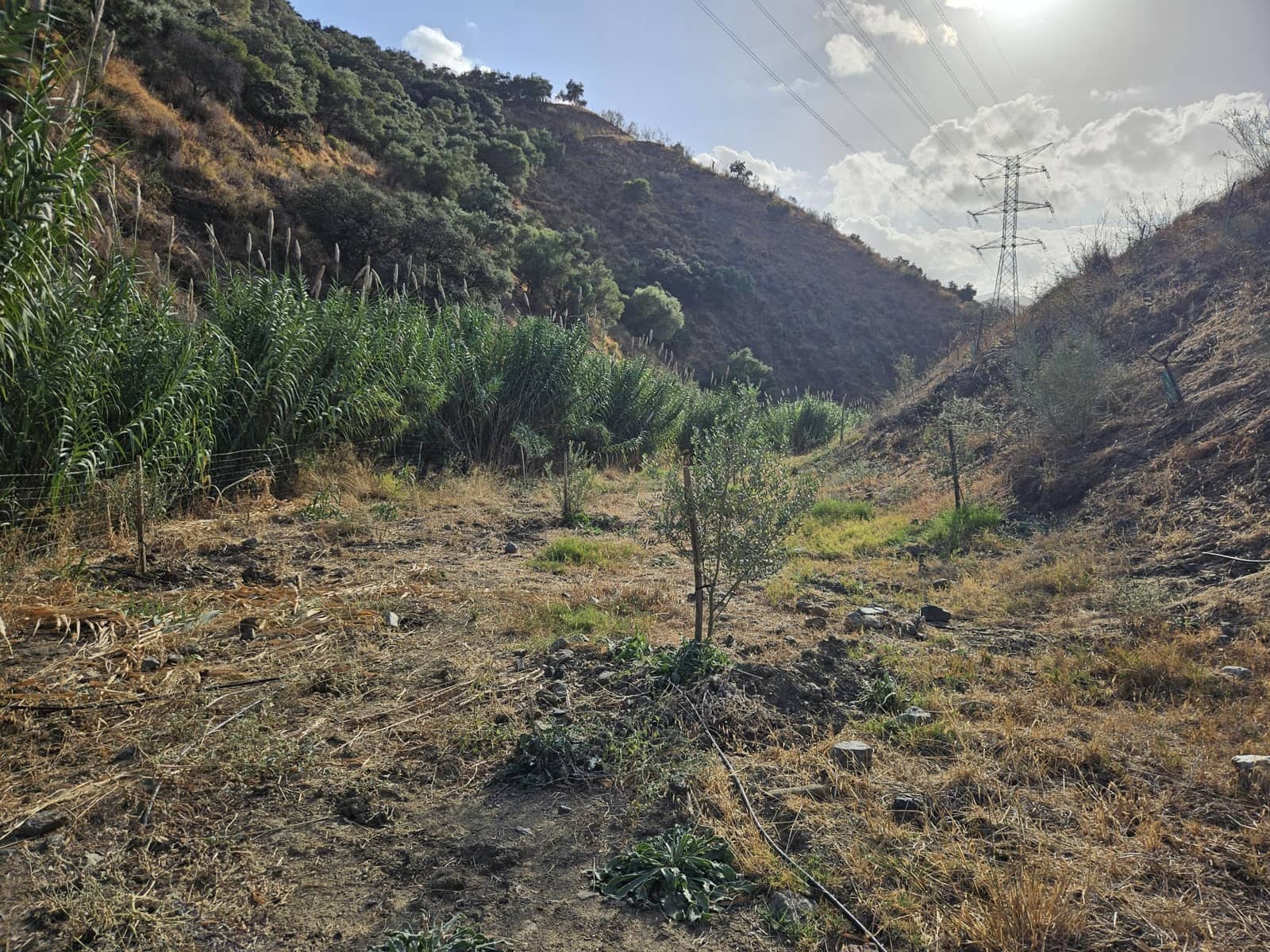 Terreno/Finca Rústica en Casarabonela en venta - 55.000 € (Ref: 9702124)