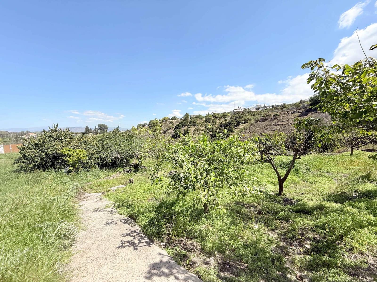 3 slaapkamer Finca/Landhuis te koop in Coin - € 310.000 (Ref: 9755940)