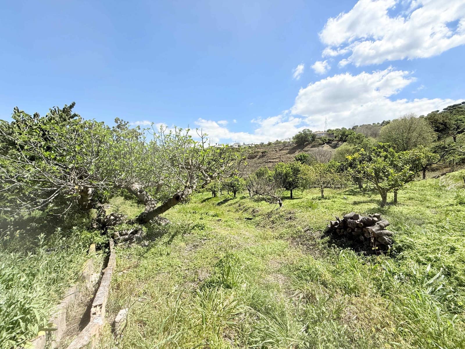 3 slaapkamer Finca/Landhuis te koop in Coin - € 310.000 (Ref: 9755940)