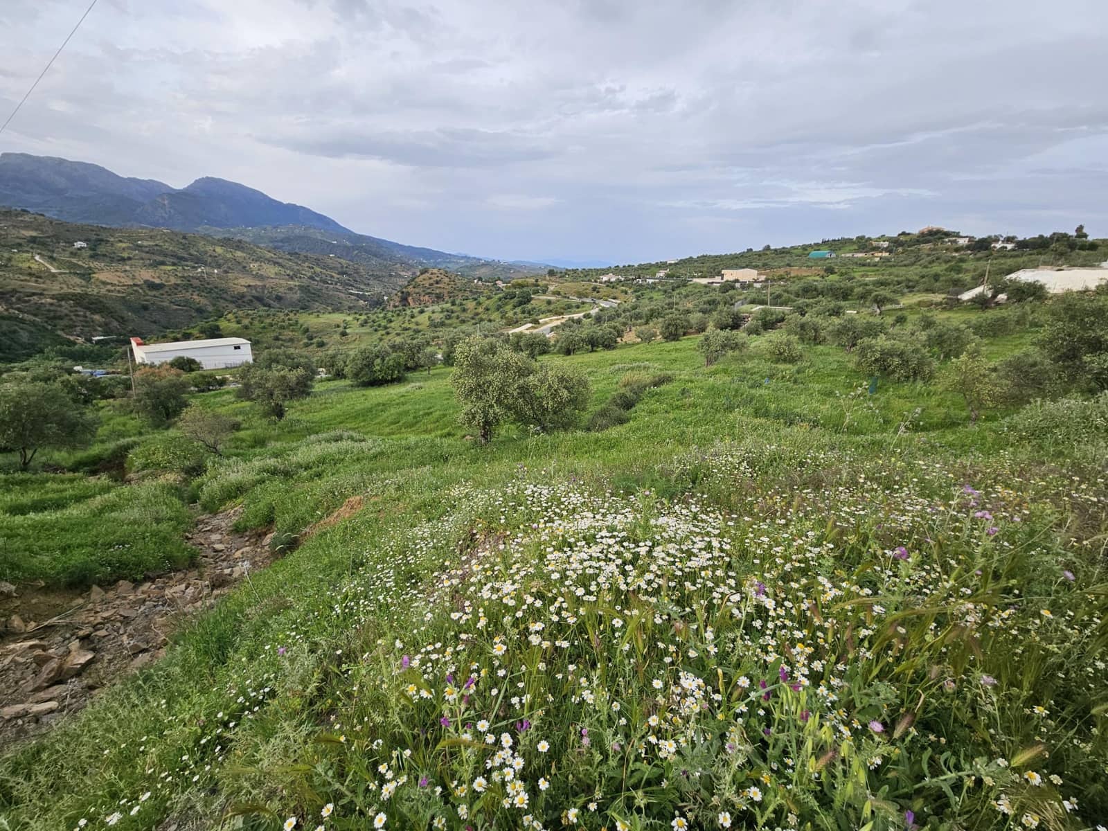 Landgrundstück zu verkaufen in Tolox - 700.000 € (Ref: 9820400)