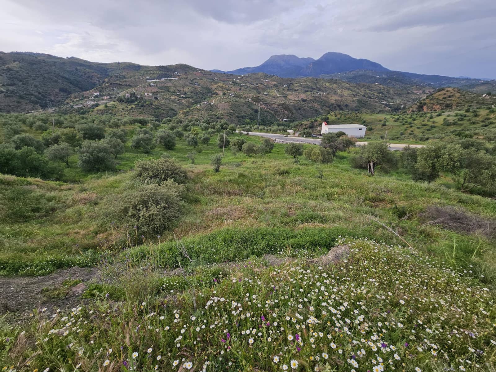 Landgrundstück zu verkaufen in Tolox - 700.000 € (Ref: 9820400)