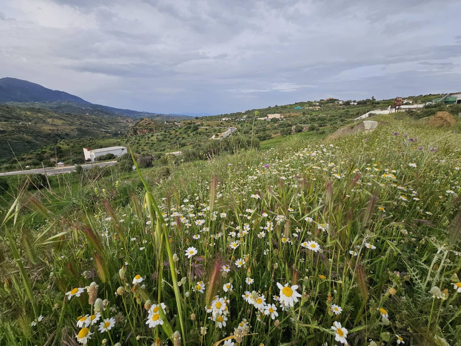 Landgrundstück zu verkaufen in Tolox - 700.000 € (Ref: 9820400)